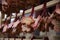 Votive tablets at Ikegami honmonji temple in Tokyo closeup