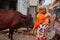 Vrindavan, 22 October 2016: Indian woman escaping from cow on th