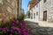 Vrsar - A little cobbled street with purple flowers