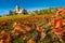 Vufflens castle and grapes