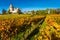 Vufflens castle and orange vineyard