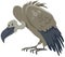 Vulture bird animal cartoon character