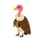 Vulture bird animal cartoon character vector illustration