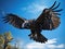 Vulture in flight in blue sky