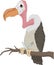 Vulture with Knife and Fork Cartoon Illustration