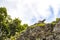 Vulture spreads its wings on top of Coba ruins Mexico