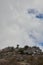 Vultures in a hill with rocks and bright sun in Sierra de las Nieves