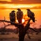 Vultures silhouetted on a tree during sunset, a captivating scene