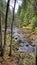 Vydra River, Sumava National Park