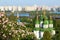 Vydubychi Monastery with lilac blossom in Kyiv, Ukraine