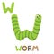 W is for Worm. Letter W. worm, cute illustration. Animal alphabet