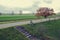 The Waal river and a in the Netherland, beautiful landscape, green meadow