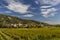 Wachau valley near Durnstein, UNESCO site, landscape with vineyards, Austria