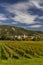 Wachau valley near Durnstein, UNESCO site, landscape with vineyards, Austria