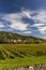 Wachau valley near Durnstein, UNESCO site, landscape with vineyards, Austria