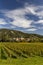 Wachau valley near Durnstein, UNESCO site, landscape with vineyards, Austria