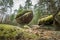 Wackelstein near Thurmansbang megalith granite rock formation in winter in bavarian forest, Germany