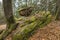 Wackelstein near Thurmansbang megalith granite rock formation in winter in bavarian forest, Germany