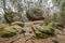 Wackelstein near Thurmansbang megalith granite rock formation in winter in bavarian forest, Germany