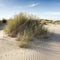 wadden islands in holland have many deserted sand dunes uinder blue summer sky