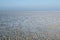 Wadden Sea