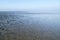 Wadden Sea