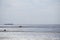 Wadden Sea.Silhouettes of people on the beach.Fer Island.Frisian Islands of Germany. walking on watt dunes.Walks along