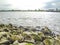 Wadden sea tidelands coast stones rocks water Harrier Sand Germany