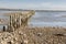 Wadden Sea UNESCO National Park, near Mando island - Denmark,