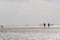 Wadden Sea.walking on watt dunes.Walks along the sandy bottom of the wattled North Sea of Germany.Fer Island. vacation