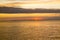 Waddensea with coastline of island Texel and swimming seal at sunset, Netherlands