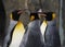 Waddle of Emperor Penguins