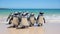 Waddling Wonder: A Playful Penguin Parade