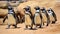 Waddling Wonder: A Playful Penguin Parade