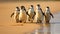 Waddling Wonder: A Playful Penguin Parade