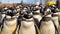 Waddling Wonder: A Playful Penguin Parade