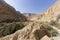 Wadi Arugot River, ein Gedi nature reserve, dead sea, Israel