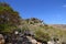 Wadi Dirhur Canyon, Socotra island, Indian ocean, Yemen