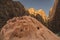 Wadi-Rum desert Jordan, this photo shows the different golden colors on the mountains and rocks at sunset, in the foreground the p