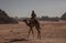 Wadi Rum Desert in Jordan. On the Sunset. Panorama of beautiful sand pattern on the dune. Desert landscape in Jordan.