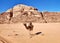 Wadi Rum - Dromedario nel deserto dal fuoristrada
