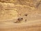 Wadi Run Desert, Jordan Travel, Camel Ride