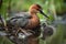 wading bird with tiny chick in its nest