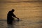 Wading fisherman at sunset