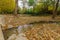 Wading pools, and fall foliage, in Snir Stream Nature Reserve