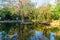 Wading pools among trees, in Tel Dan Nature Reserve