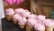 Wafer cones with marshmallows. On cardboard racks. A woman decorates marshmallows with decorative sprinkles. Close-up