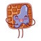 Waffle with jam breakfast food cute kawaii isolated icon