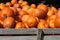 Wagon load of Pumpkins