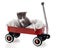 Wagon-Riding Kitty